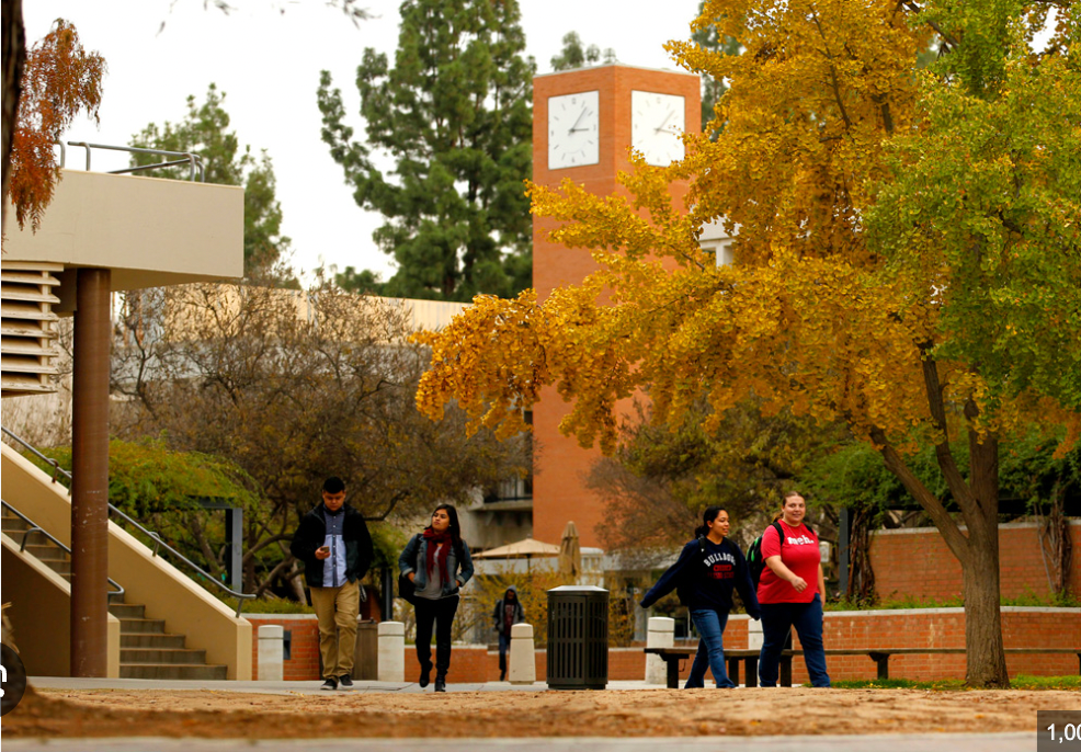California State University