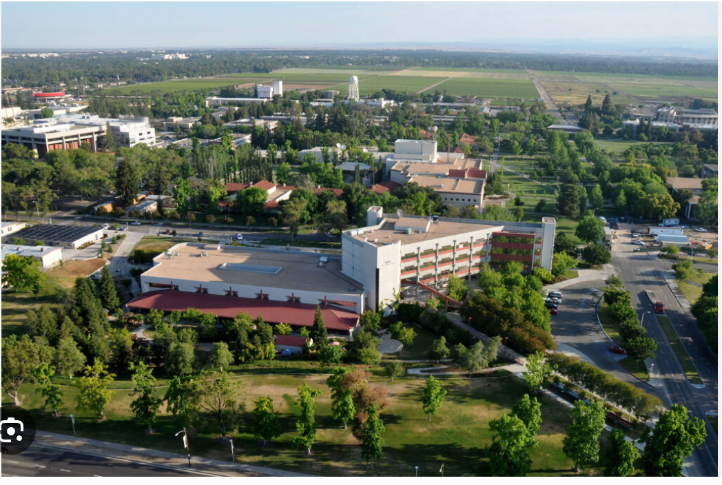 California State University