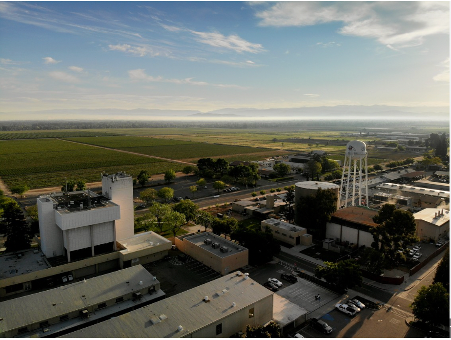 California State University