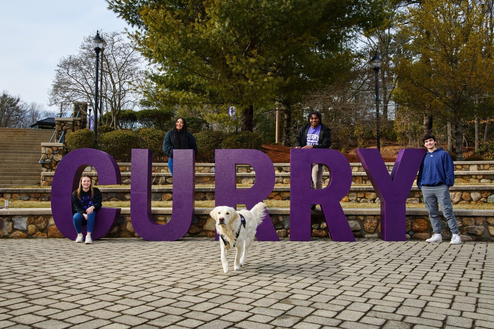 Curry College campus