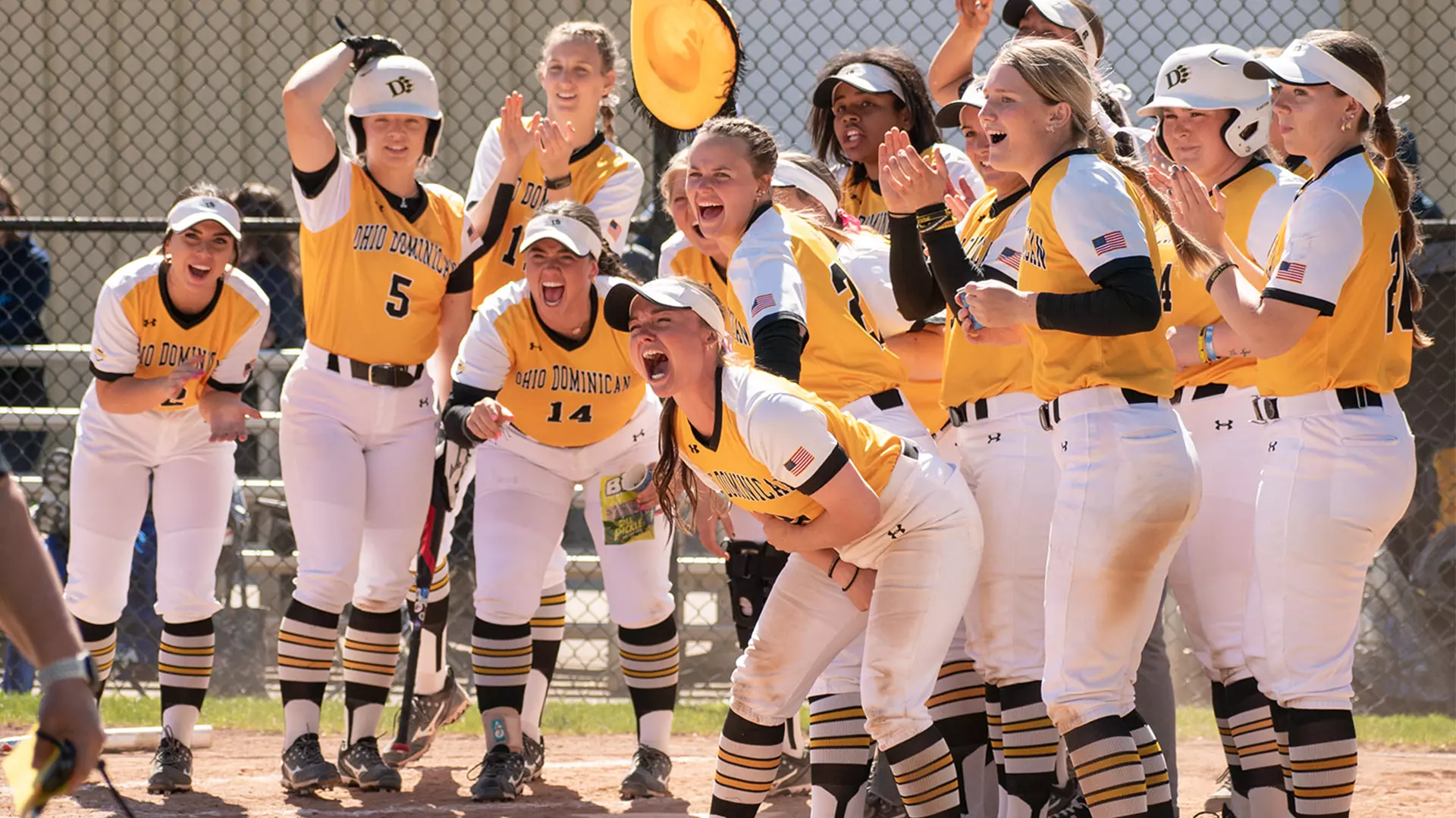 Ohio Dominican University (ODU) campus
