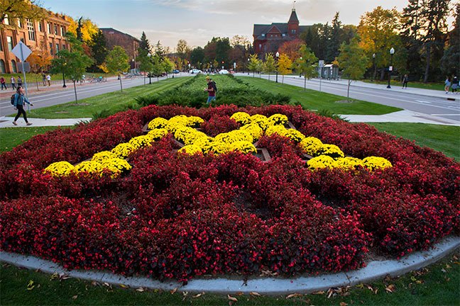 University of Minnesota Twin Cities (UMN) campus